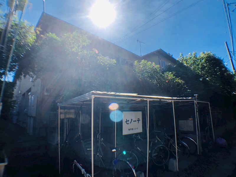 セノーテ その他23