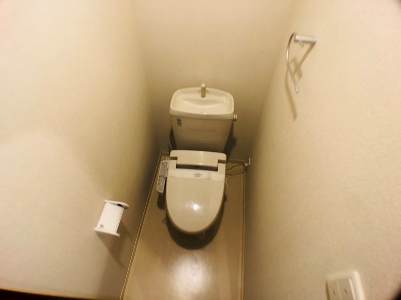 セノーテ その他24