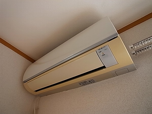 コモド柏 その他5