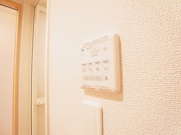 コリーヌ・ドレ その他12