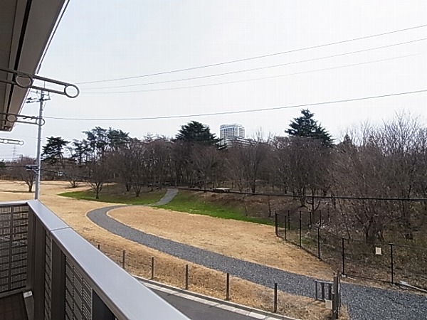 アマセネルＢ その他4