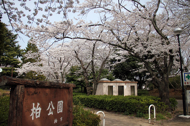 アーバンパーク柏 周辺画像8