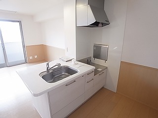 アルプス その他9