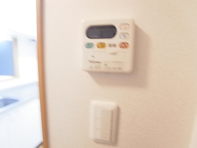 ラフレシールＡ その他10