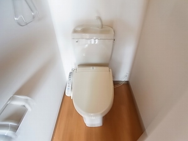 グレーシア その他1