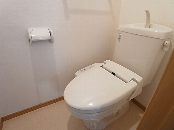 ラフレシールⅠ その他1