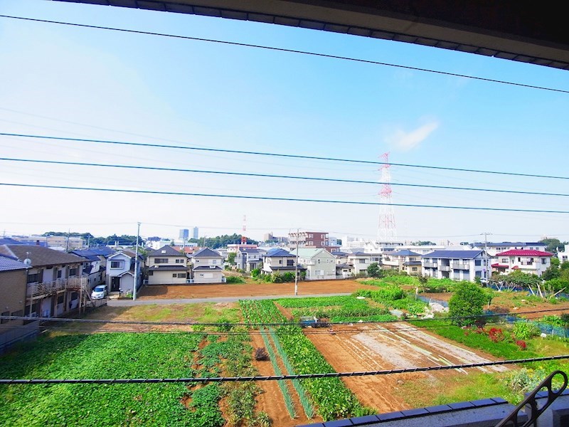 プレジオⅡ その他6