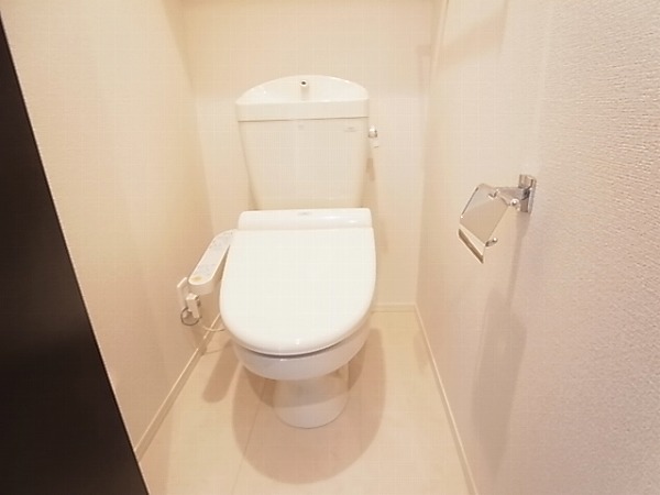 プルメリア その他1