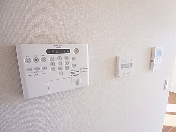 プルメリア その他4