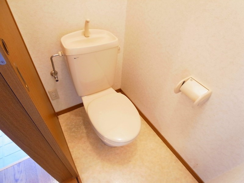 エピナール その他1