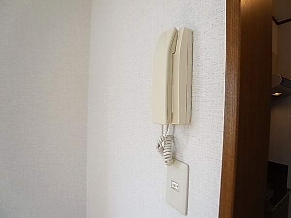 プロウ新柏 その他4