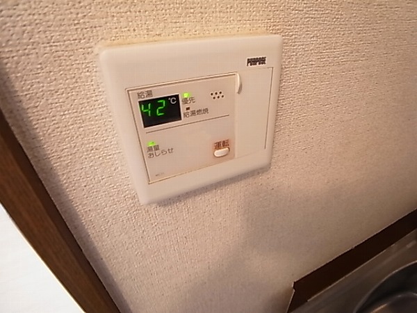 プロウ新柏 その他9