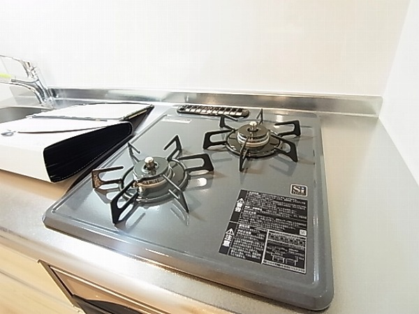 Vesta（ウェスタ） その他10