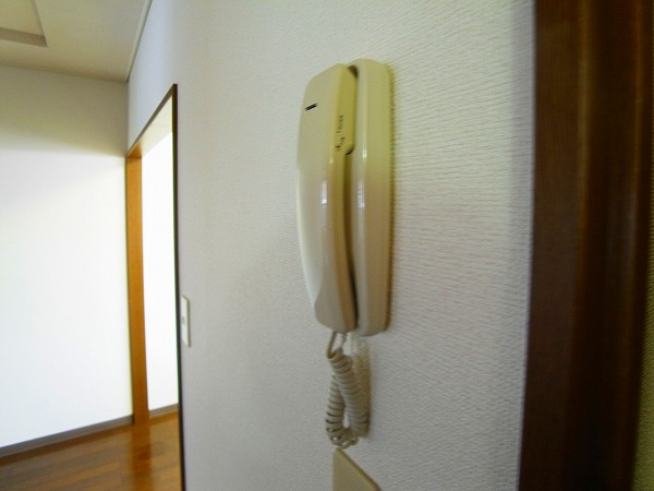 リトルウィング その他4