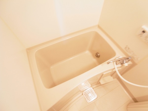 コリーヌ・アン その他8