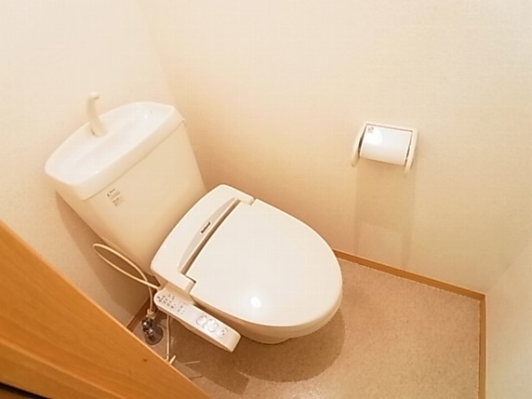 ステラコート その他1