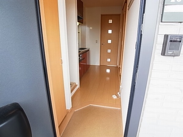 ステラコート 玄関