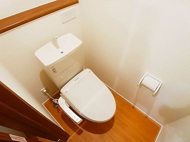 アロファミエント その他1