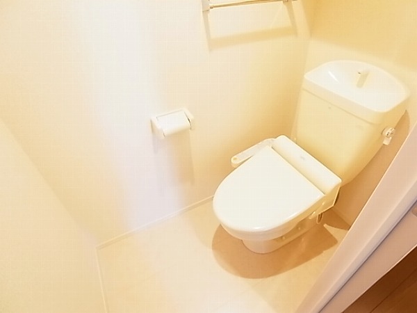 アネシスⅢ その他1