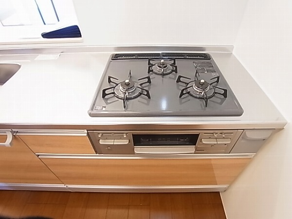 アネシスⅢ その他11