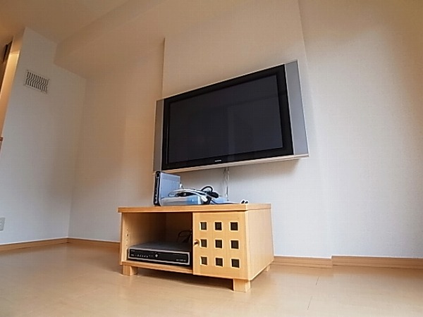 サントビーヴィレッジⅤ その他6