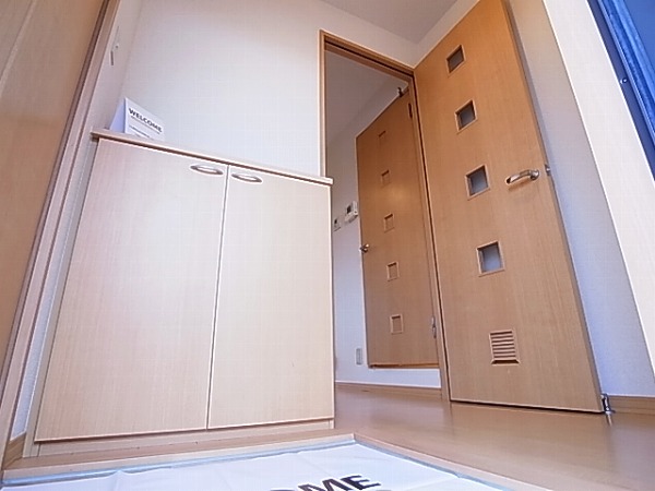 サントビーヴィレッジⅤ 玄関