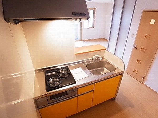 サントビーヴィレッジⅤ キッチン