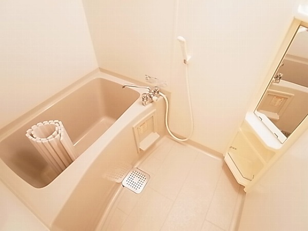 サントビーヴィレッジⅤ 風呂画像