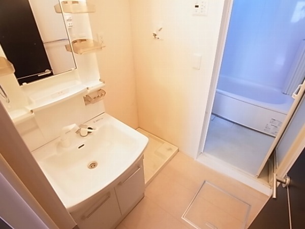 オアシス その他2