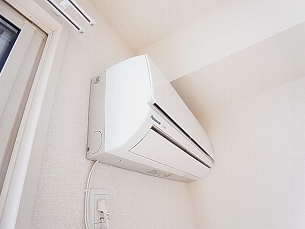 カトレア その他6