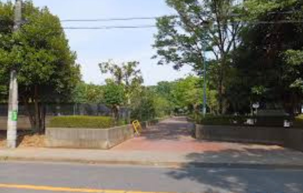 カトレア 周辺画像6