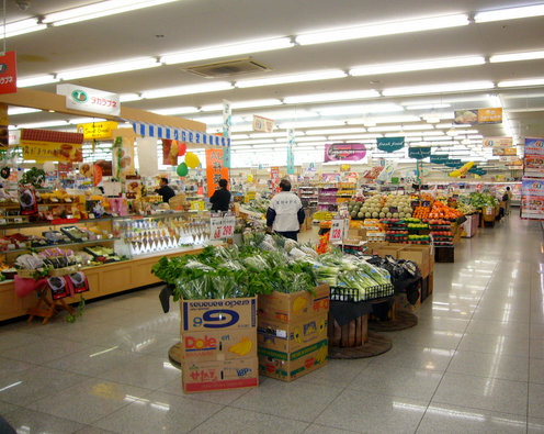 グレースバレー 周辺画像6