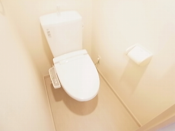 リブリ・ラルジュ その他1