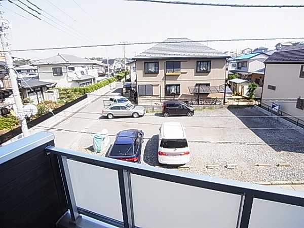 リブリ・ラルジュ その他6