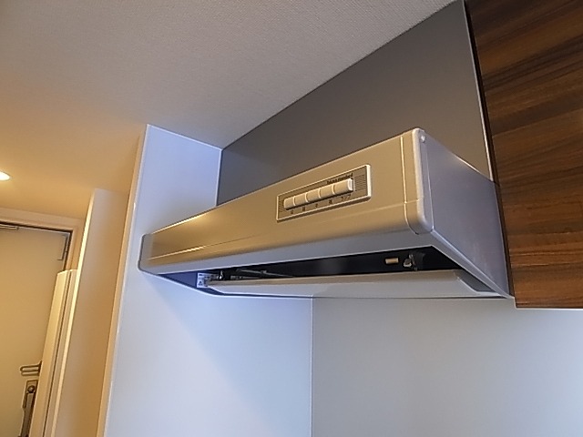 リブリ・ラルジュ その他14