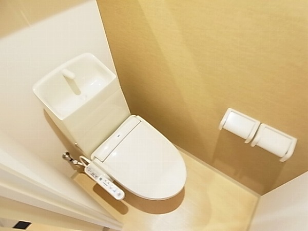 ロイヤルパピヨン その他1