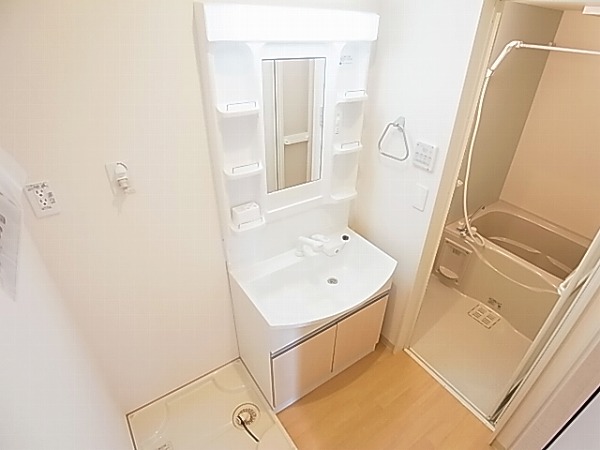 ロイヤルパピヨン その他2