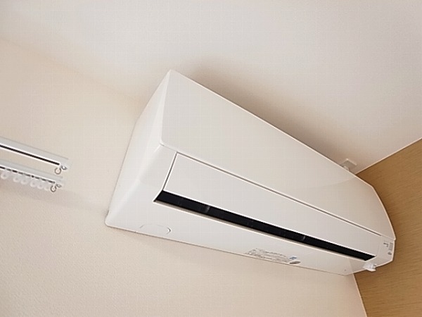 ロイヤルパピヨン その他5