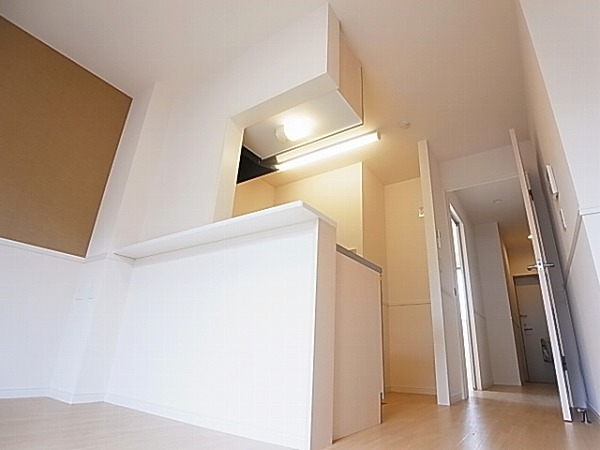 ロイヤルパピヨン その他6