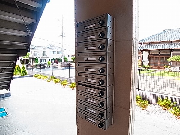 ロイヤルパピヨン その他外観6