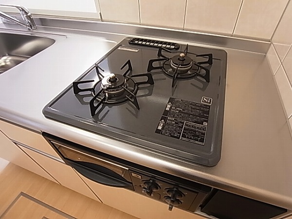 ロイヤルパピヨン その他8