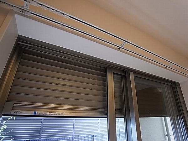 ロイヤルパピヨン その他10