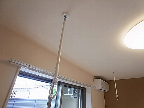 ロイヤルパピヨン その他14