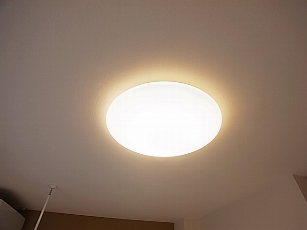 ロイヤルパピヨン その他15