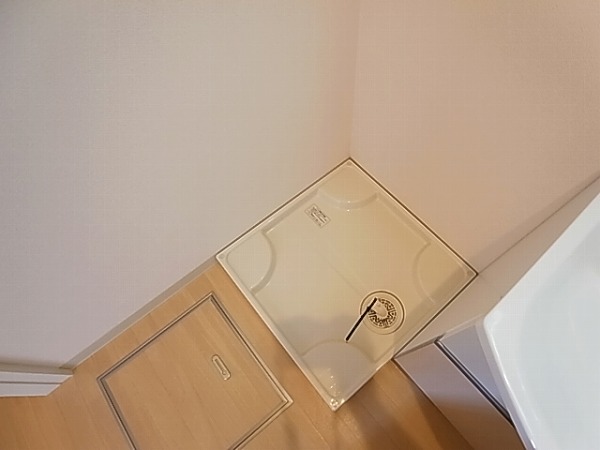 ロイヤルパピヨン その他18