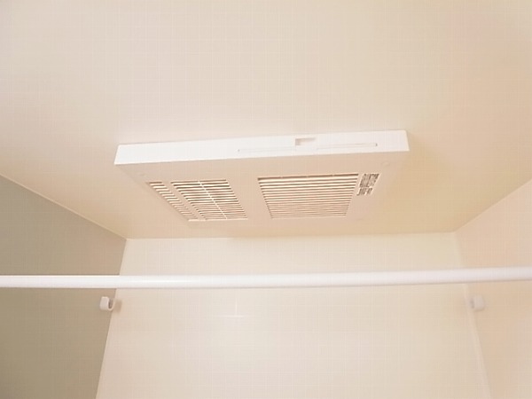 ロイヤルパピヨン その他19