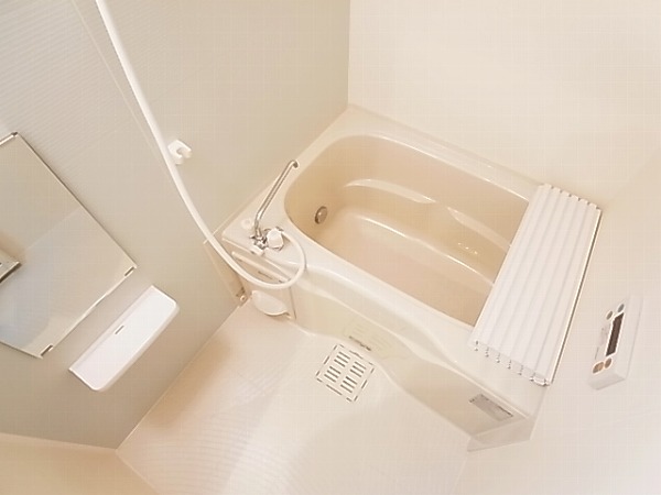 ロイヤルパピヨン 風呂画像