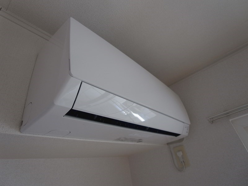 ＳＫニューカトレア その他6