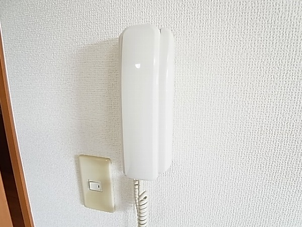 ラディッシュⅣ その他4