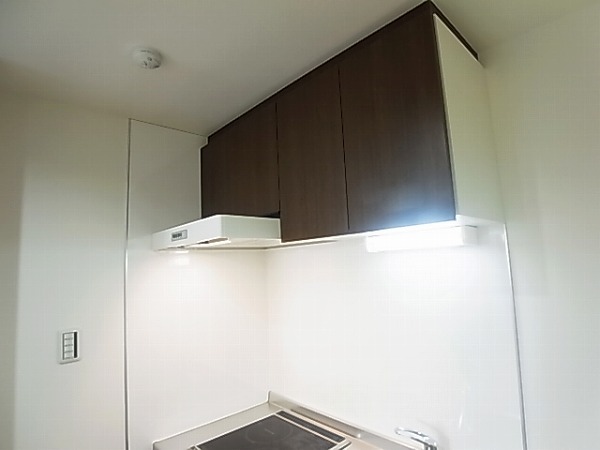 Precious Earth 逆井 その他17